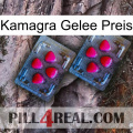 Kamagra Jelly Price 14